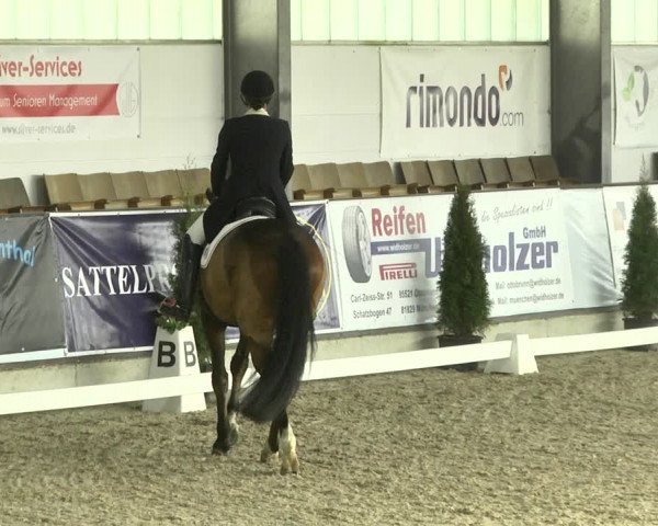 Reitturnier Karlsfeld 2022