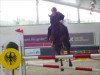 jumper Burnout (Belgian Warmblood, 2007)