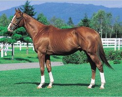 stallion Ishino Sunday xx (Thoroughbred, 1993, from Sunday Silence xx)