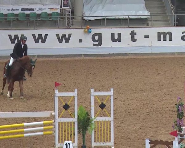 Reitturnier Kreuth 2022