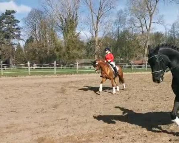 Video of Scavi Del Ray