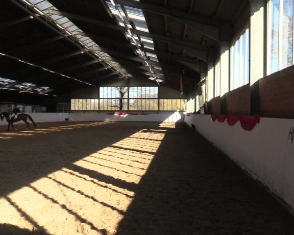 Reitturnier Greven 2022