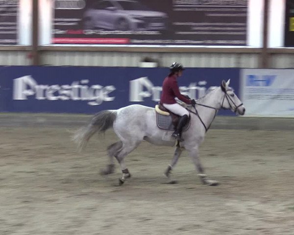 11. Nordic Jumping Event in Negernbötel 2022 – Abschlussturnier mit LVM Finale Dressur/Springen