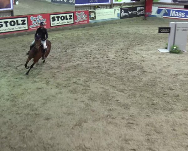 11. Nordic Jumping Event in Negernbötel 2022 – Abschlussturnier mit LVM Finale Dressur/Springen