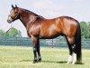 stallion Stormy Atlantic xx (Thoroughbred, 1994, from Storm Cat xx)