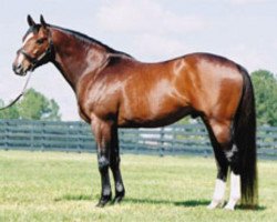 stallion Stormy Atlantic xx (Thoroughbred, 1994, from Storm Cat xx)