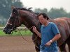 stallion Pentelicus xx (Thoroughbred, 1984, from Fappiano xx)