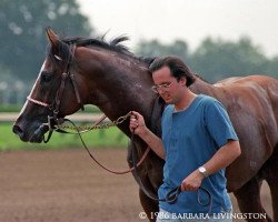 stallion Pentelicus xx (Thoroughbred, 1984, from Fappiano xx)