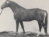 stallion Silberpfeil (Westphalian, 1978, from Silvester)