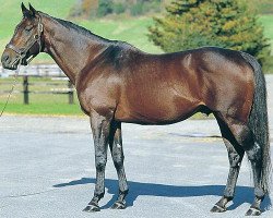 stallion Paradise Creek xx (Thoroughbred, 1989, from Irish River xx)