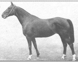 broodmare Ita (Trakehner, 1936, from Pirol)