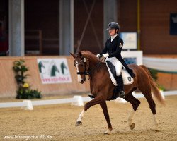 dressage horse Rolf Rubin (Hanoverian, 2007, from Rousseau)