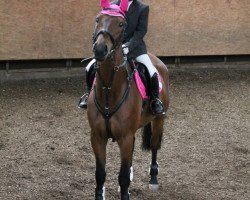 jumper Lamentos (Hanoverian, 2002, from Le Cou Cou)