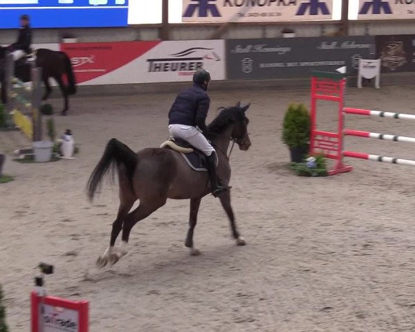 11. Nordic Jumping Event in Negernbötel 2022 – Abschlussturnier mit LVM Finale Dressur/Springen