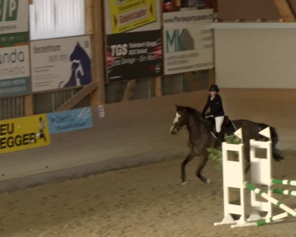 Reitturnier Schaffhausen 2022