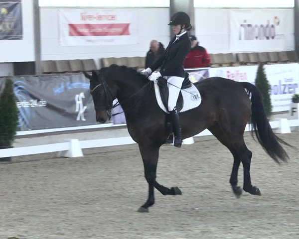 Reitturnier Karlsfeld 2022