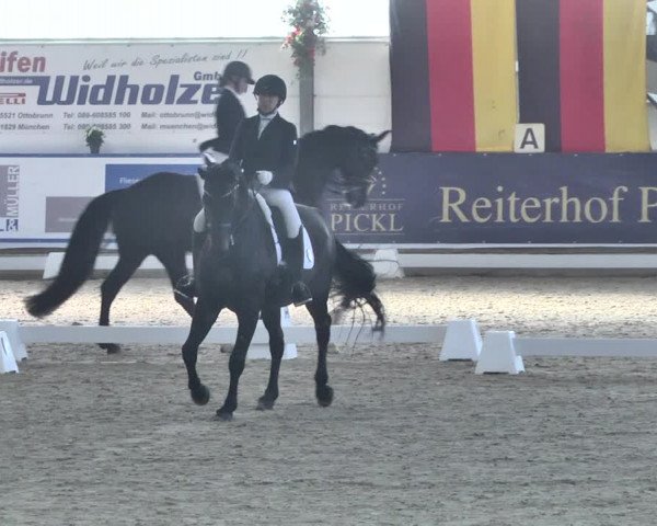Reitturnier Karlsfeld 2022