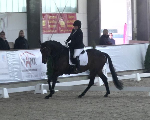 Reitturnier Karlsfeld 2022