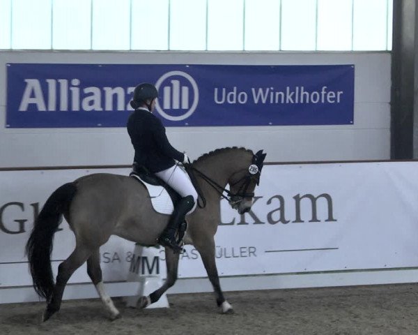Reitturnier Karlsfeld 2022