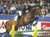 stallion For Germany Rd (Hanoverian, 1998, from For Pleasure)