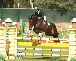 broodmare Malagueña La Silla (Selle Français, 2000, from Quick Star)