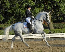 stallion Expo'se (Holsteiner, 1997, from Exkurs)