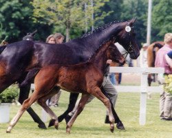 broodmare Montana (Westphalian, 1993, from Mon Chèri)