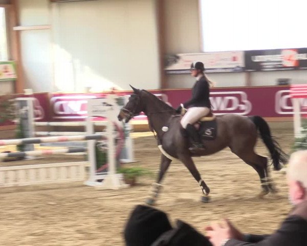 Reitturnier Goch-Asperden 2022