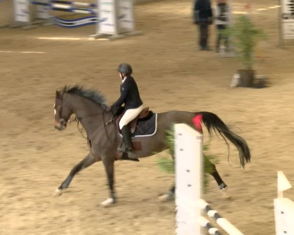 Reitturnier Schaffhausen 2022