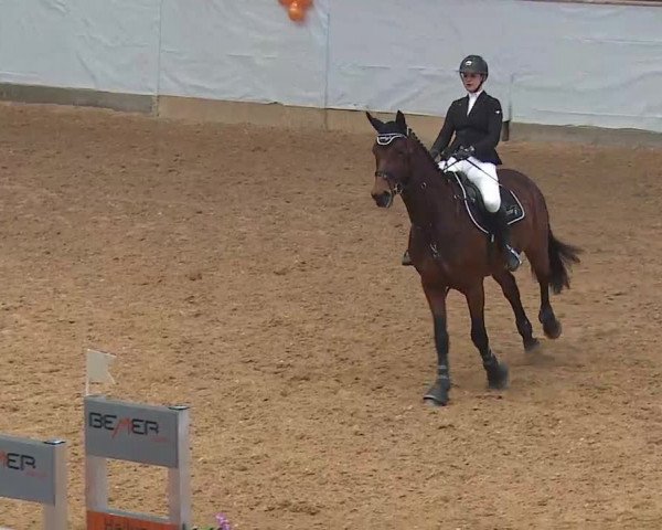 Reitturnier Kreuth 2022