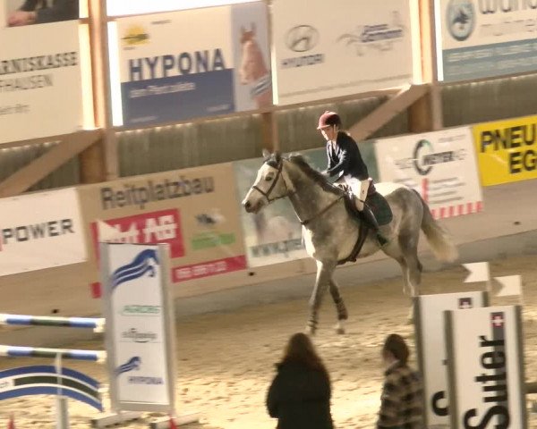 Reitturnier Schaffhausen 2022