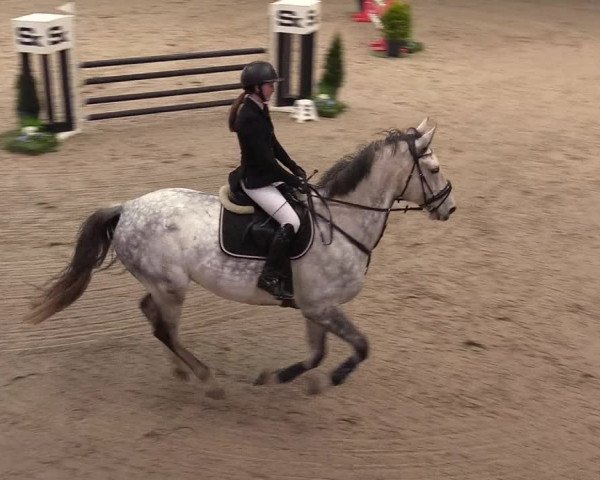 11. Nordic Jumping Event in Negernbötel 2022 – Abschlussturnier mit LVM Finale Dressur/Springen