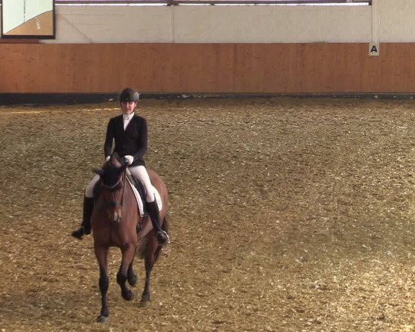 Reitturnier Datteln 2022
