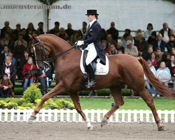 dressage horse Lesotho 5 (Hanoverian, 1993, from Lauries Crusador xx)