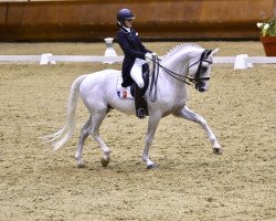 dressage horse Ruysdael (Hanoverian, 2004, from Rotspon)