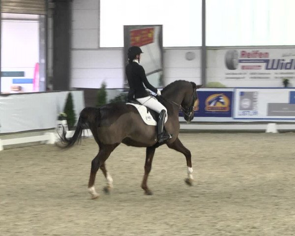 Reitturnier Karlsfeld 2022