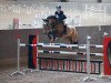 jumper Eskimo (Latvian Warmblood, 2002, from Zeb-Element)