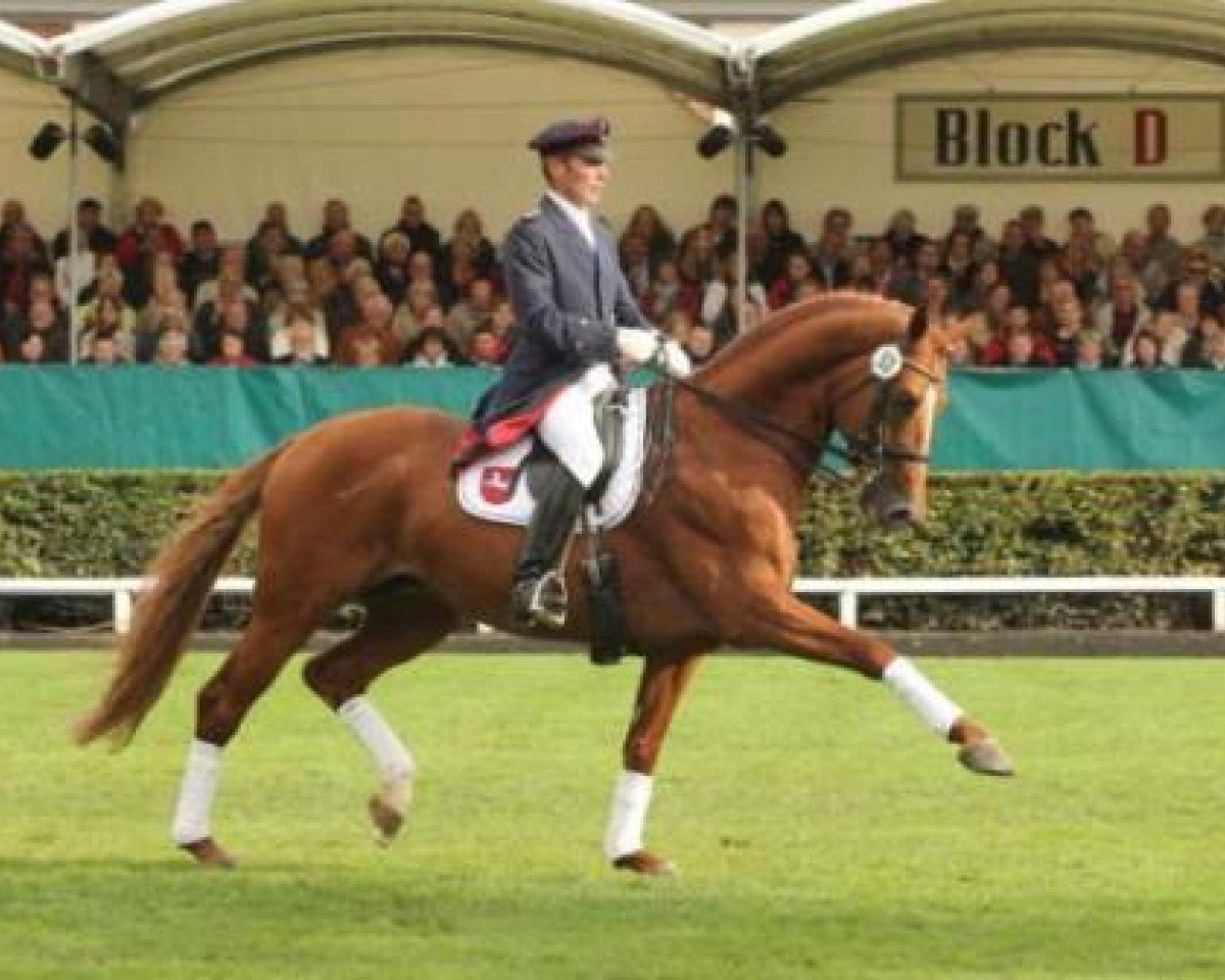 Deckhengst Londontime (Hannoveraner, 2002, von Londonderry)