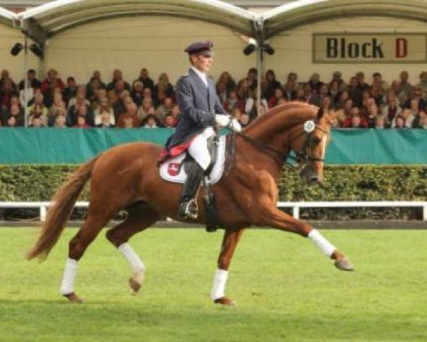 dressage horse Londontime (Hanoverian, 2002, from Londonderry)