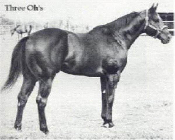 stallion Three Oh's (Quarter Horse, 1966, from Three Chicks)