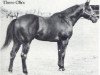 Deckhengst Three Oh's (Quarter Horse, 1966, von Three Chicks)