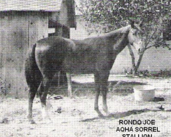 Deckhengst Rondo Joe (Quarter Horse, 1935, von Grano De Oro)