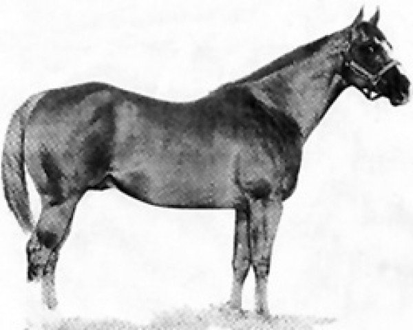 stallion Jet Dial (Paint Horse, 1961, from Johnny Dial)