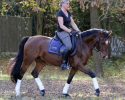 dressage horse Promise Charly Brown (Deutsches Reitpony, 2009, from FS Champion de Luxe)