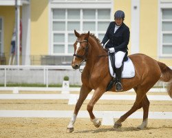 dressage horse Piccolina KWR (Austrian Warmblood, 2004, from Danilo)