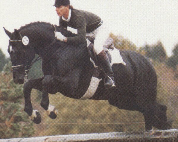 stallion Le Mexico II (Oldenburg, 1982, from Le Mexico)