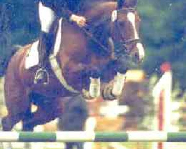 broodmare Herma (Holsteiner, 1993, from Lucky Lionell)