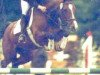 broodmare Herma (Holsteiner, 1993, from Lucky Lionell)