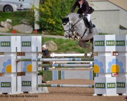 broodmare La Luna 307 (Oldenburg show jumper, 2006, from Last Man Standing)