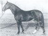 stallion Gaugraf (Holsteiner, 1944, from Logarithmus)